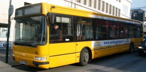 The yellow bus