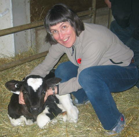 Nöfnur: Sibba systir og sibba kálfur