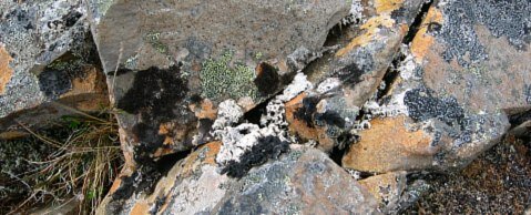 Boulder Stones - patterns of nature