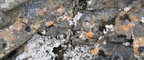 Boulder Stones - patterns of nature