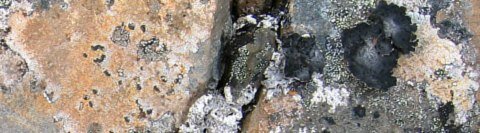 Boulder Stones - patterns of nature