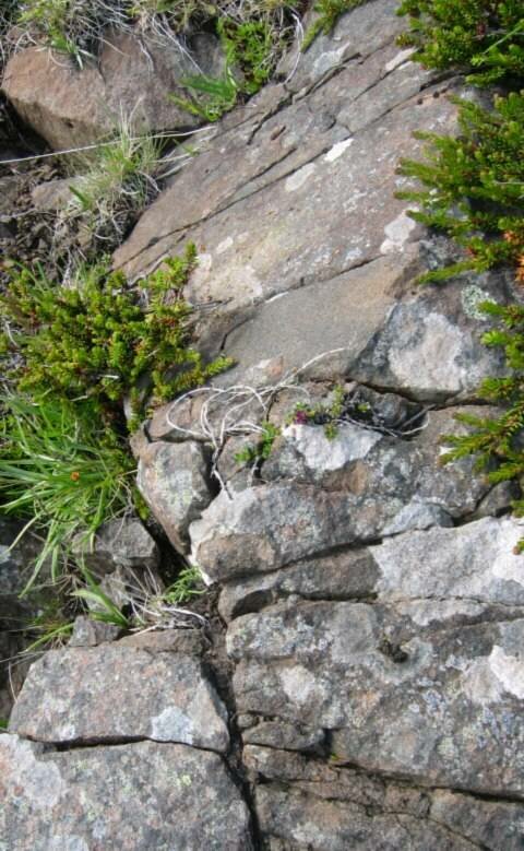 Boulder Stones - patterns of nature