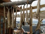 Iceland Omega 3 - dried fish