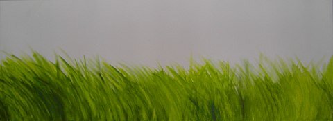 Senin Arenz - Gras